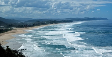 Dolphin_127146164_1024x518