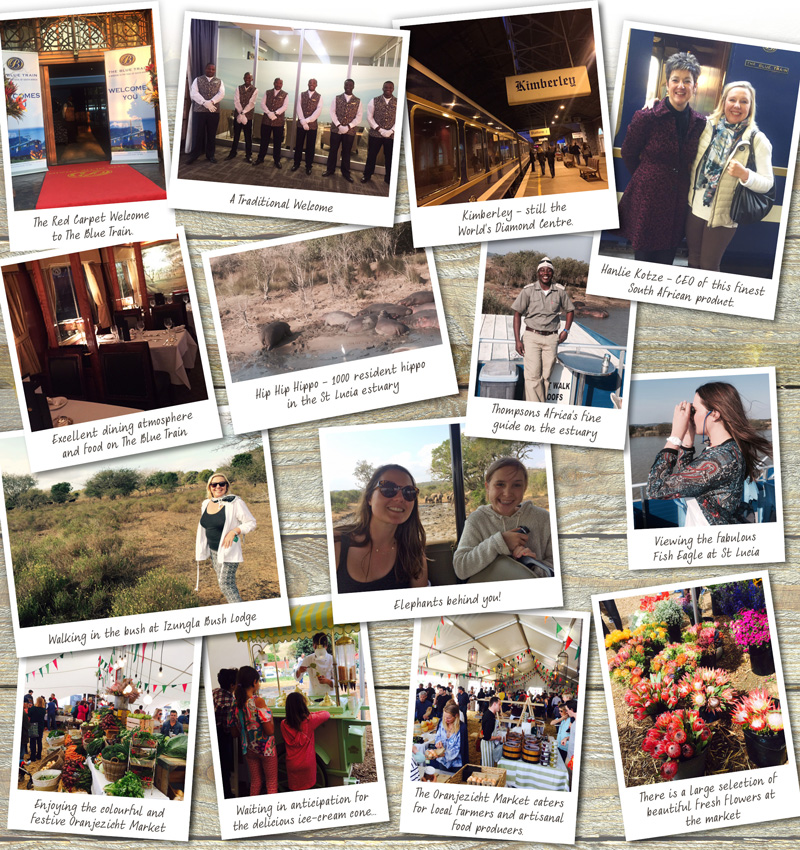 Footer_lindaletter_nov2015