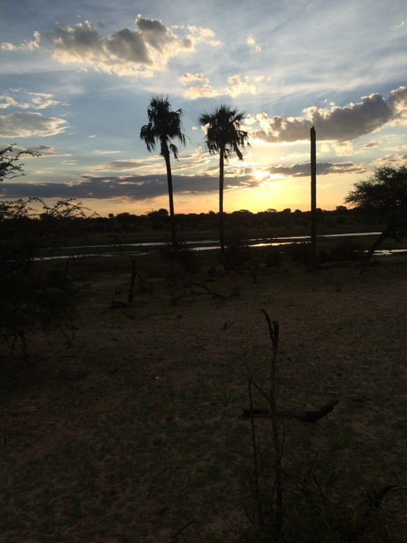 2015-12-14 18.31.35_576x768