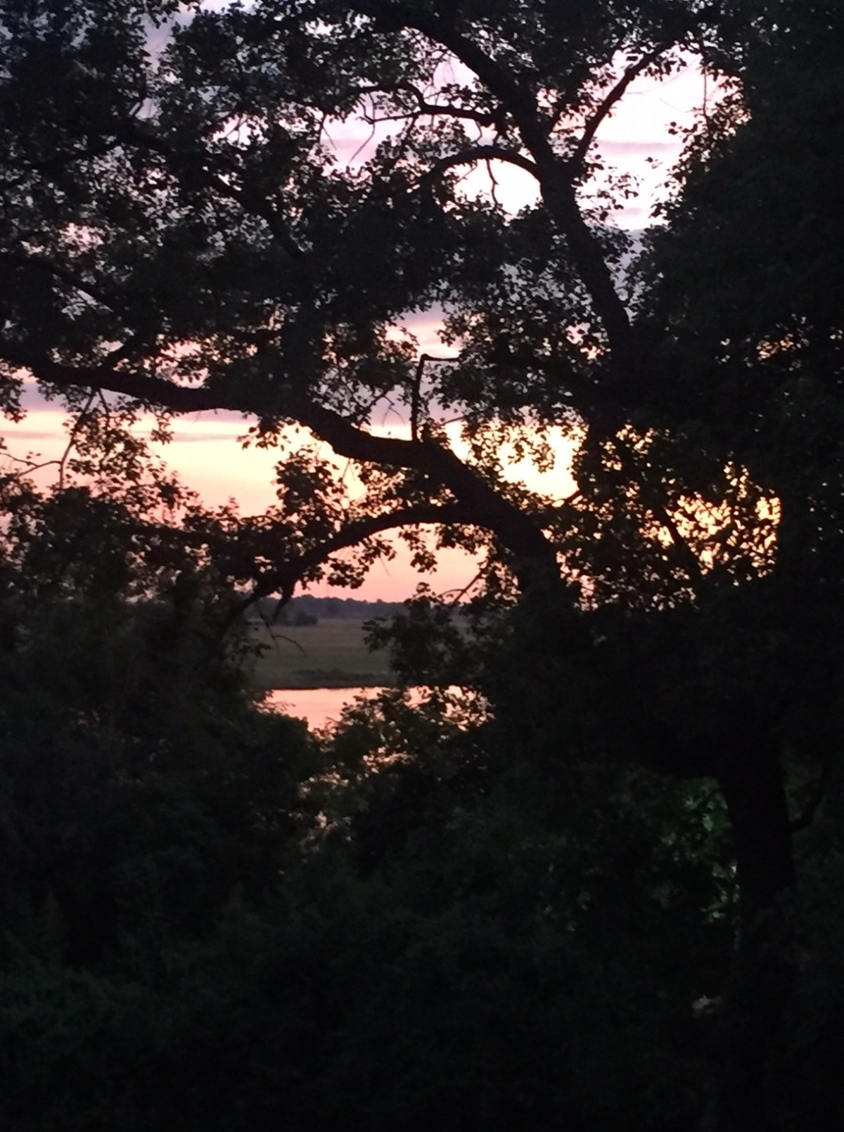 View from Chobe Game Lodge
