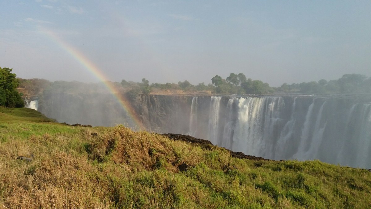 20161022_073041_resized