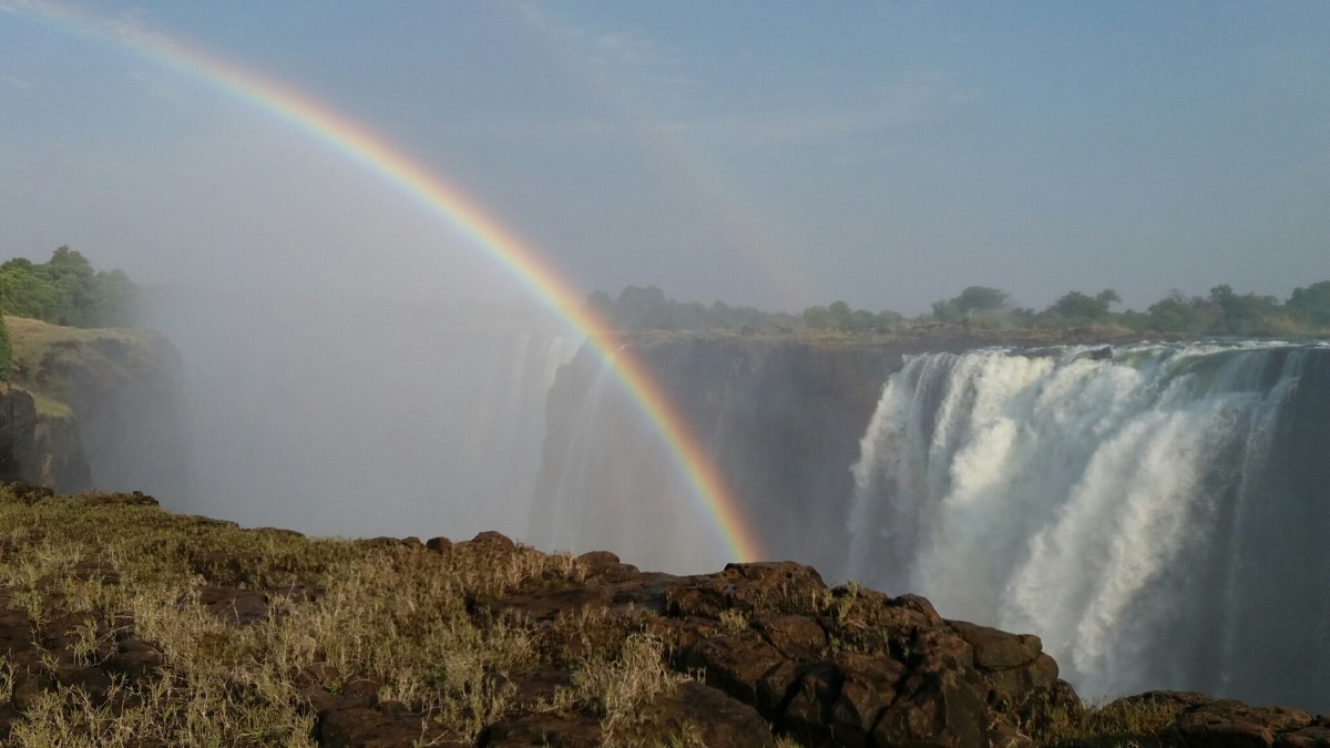 20161022_073952_resized