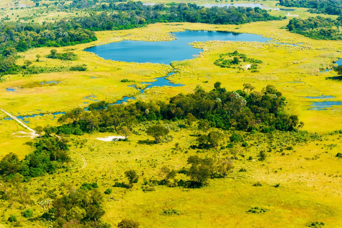 okavango-delta-botswana_298951286