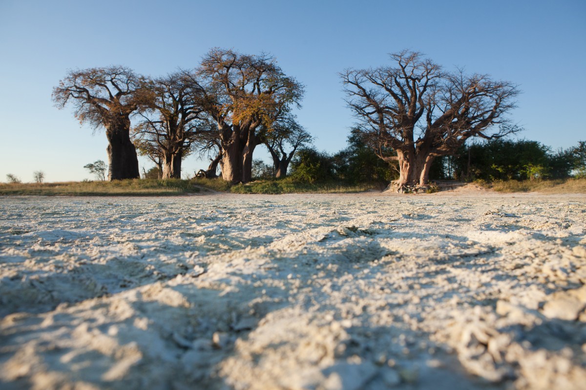 salt-pans_botswana_371402593