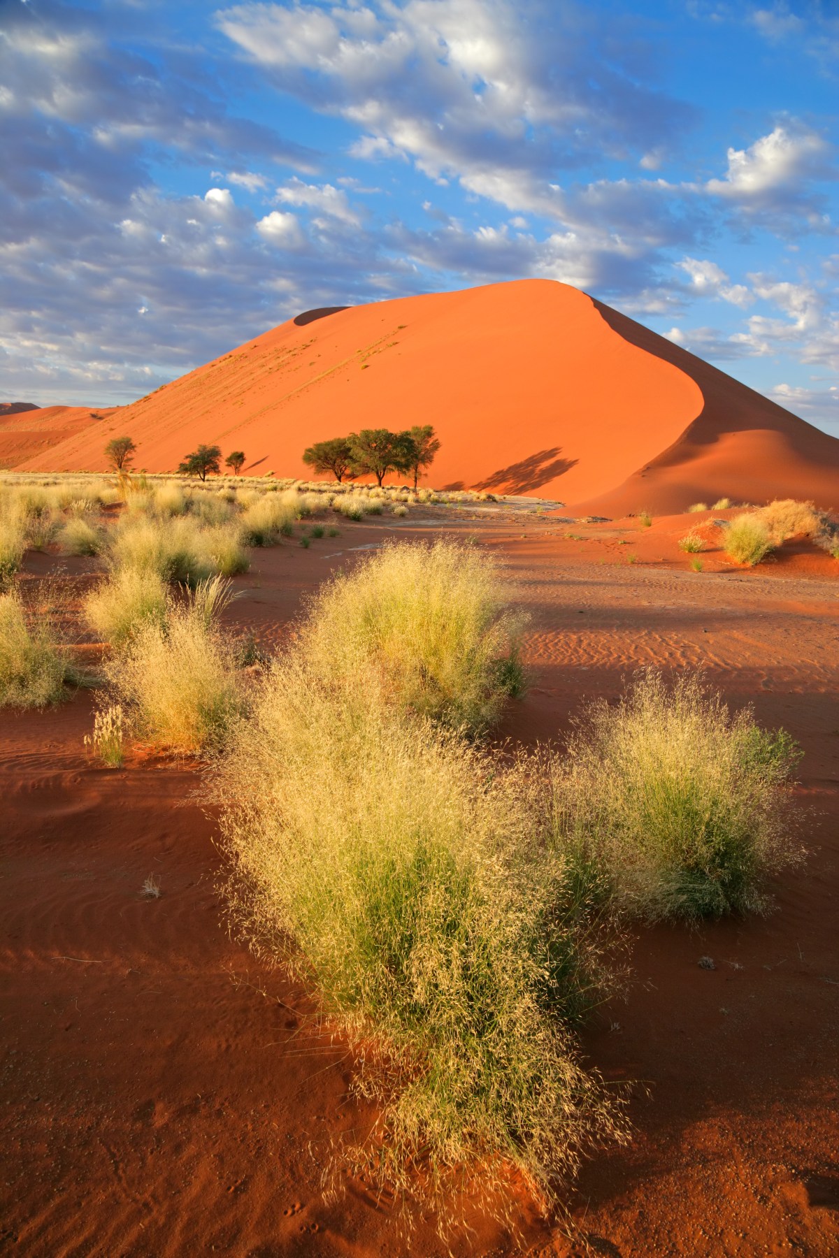 154255835_sand-dunes_sossusvlei_namibia