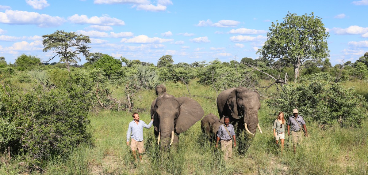 ABU CAMP, Okavango Delta, Botswana