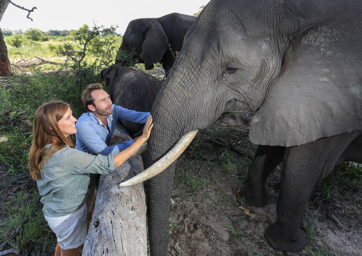 ABU CAMP, Okavango Delta, Botswana