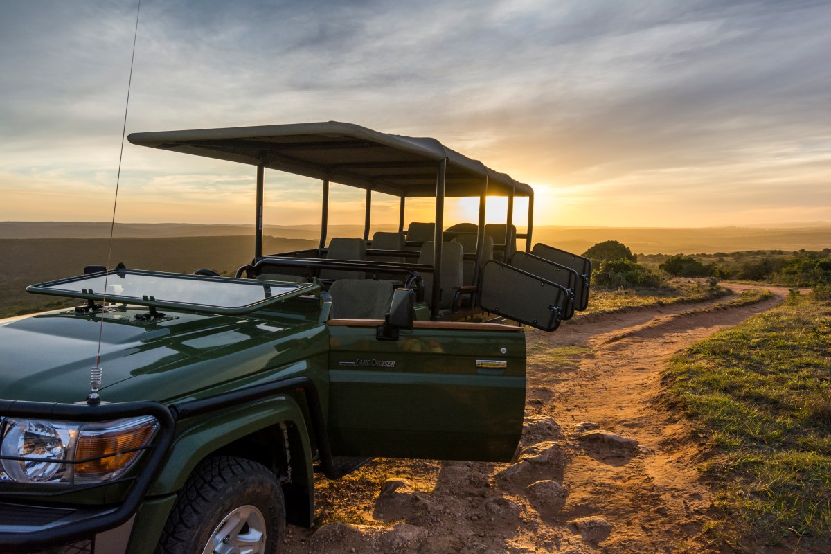 Professional photography