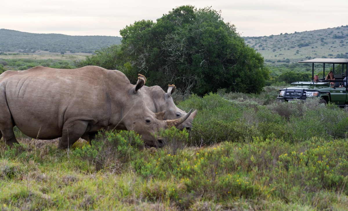 Professional photography