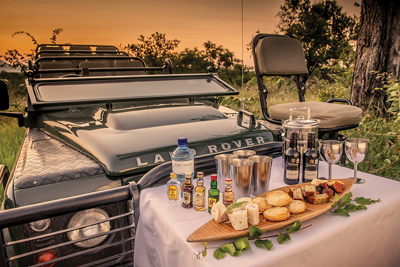 Shiduli_game drive.jpg