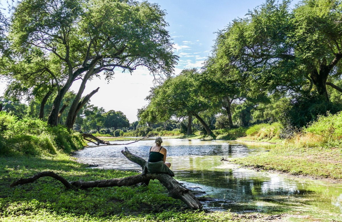 African Bush Camps_Zambezi_Expeditions_Mana_Pools_National_Park_Zimbabwe_walking_safari_green_season.JPG