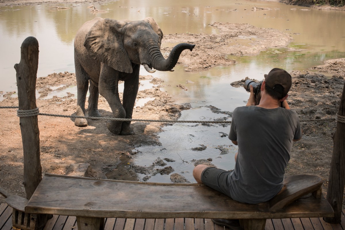 Kanga Camp Mana Pools Zimbabwe African Bush Camps Safari Tented Camp Photo Safaris with elephant (8).jpg