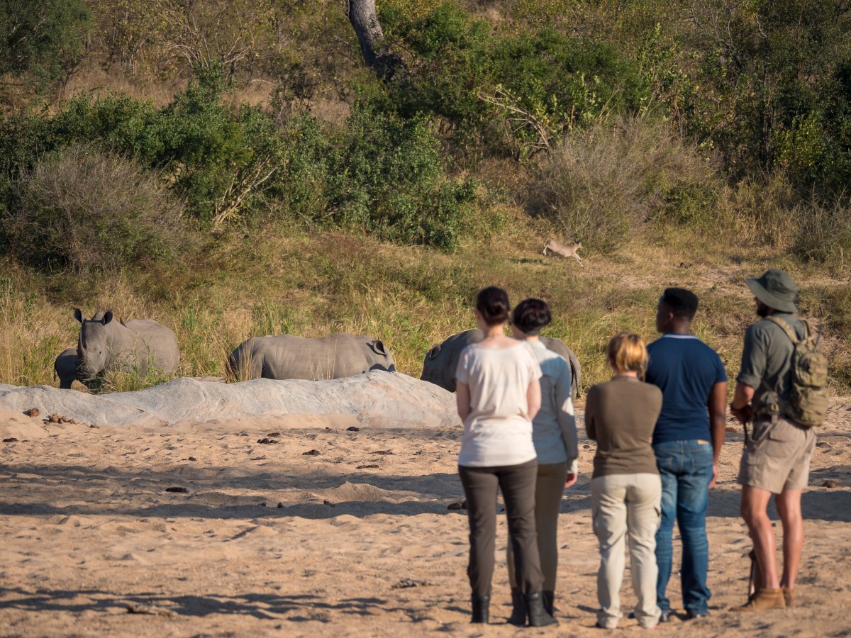 Kruger National Park. Mpumalanga. South Africa.