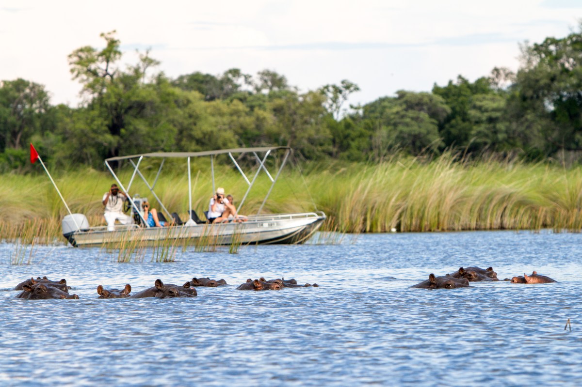 Camp-Moremi-Boating(2)