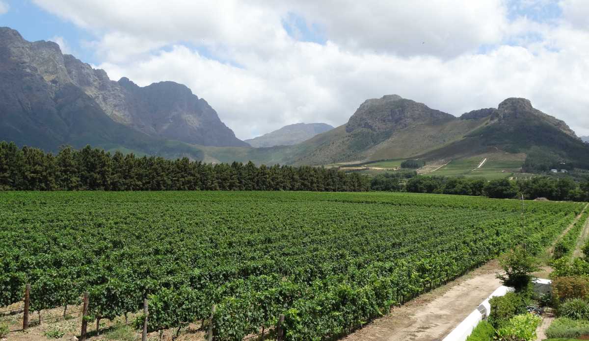 Franschhoek3