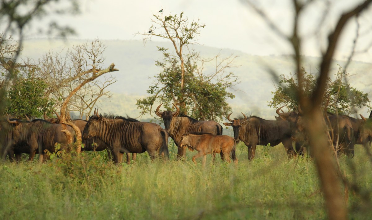 20190220 - CS3_7116 - E - 21.jpg