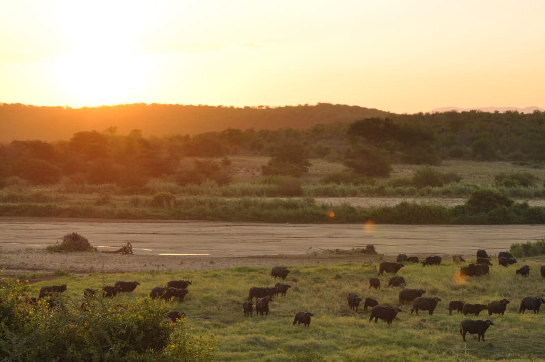uMfolozi Big Five Reserve - Mthembu L (19)