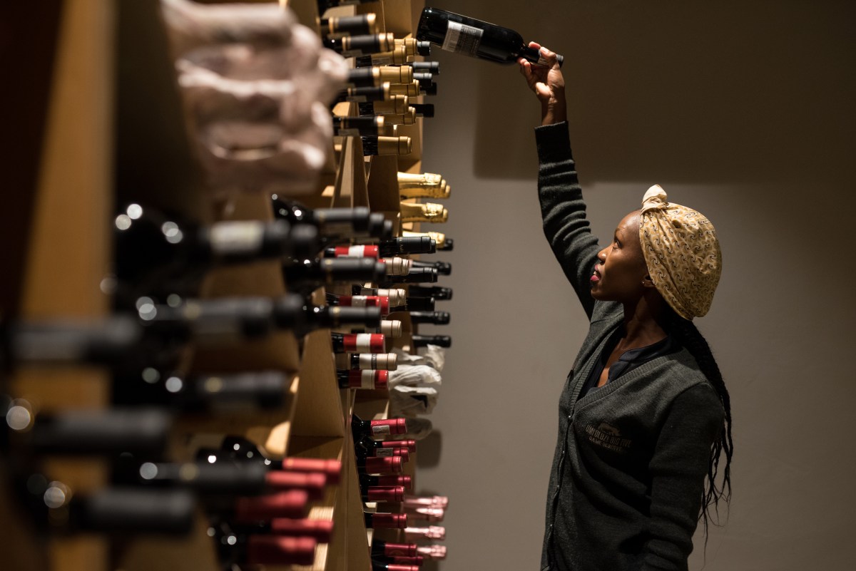 uMfolozi Big Five Reserve - Mthembu_wine Cellar