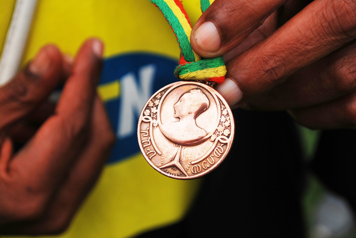 Knysna-Tours-One-Love-Carousel-5