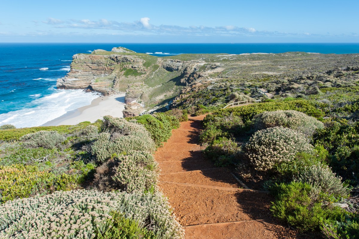 Cape Peninsula-466389382.jpg