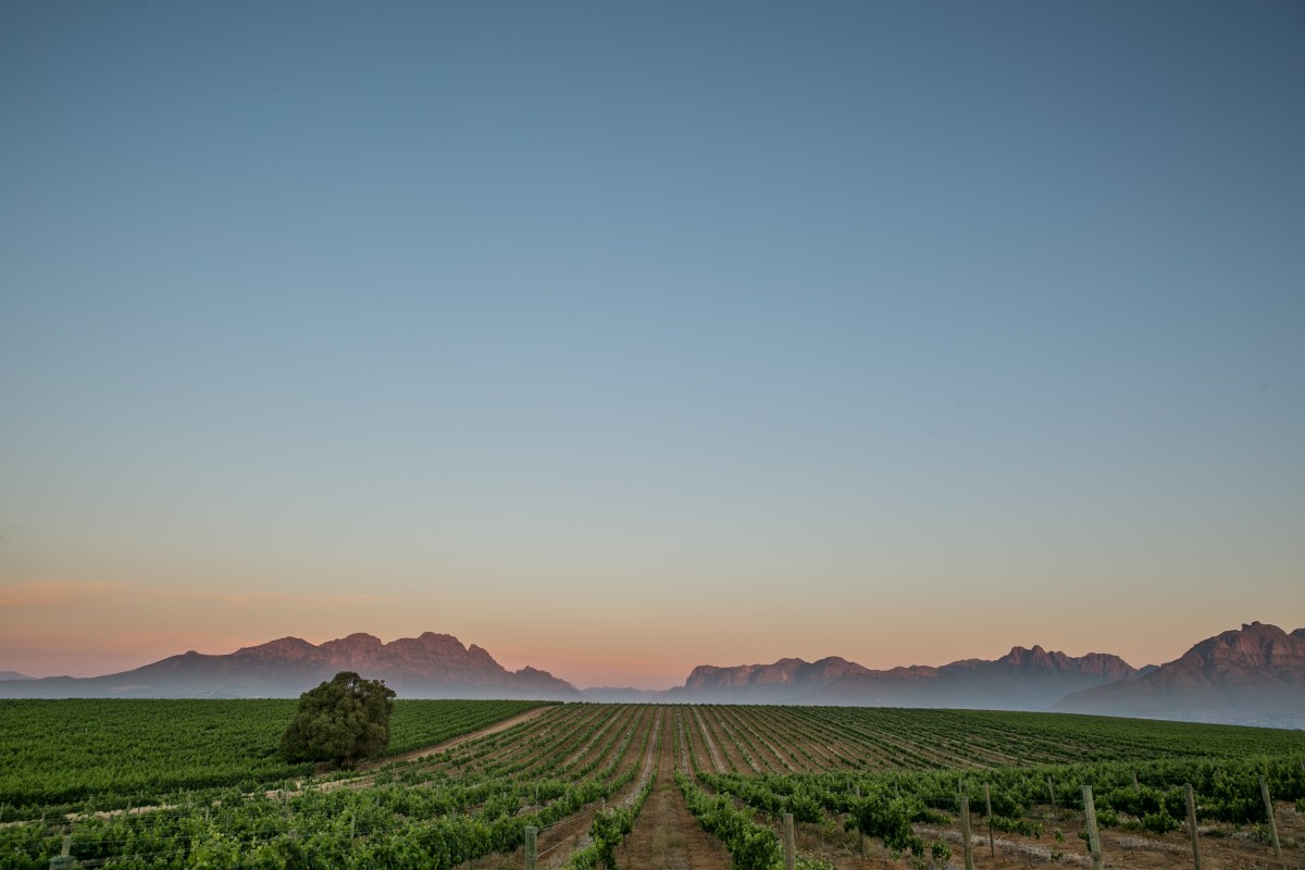 Cape Town Winelands-880477126(1).jpg