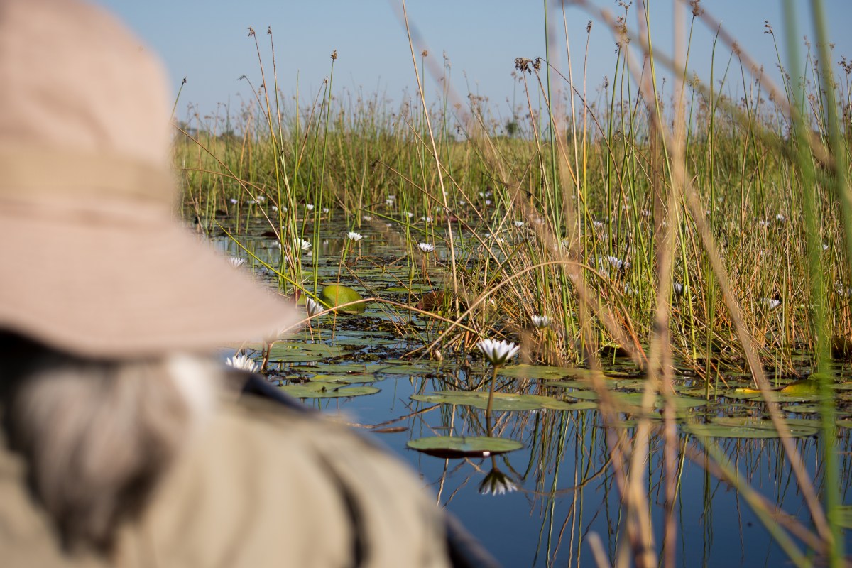 Mokoro Botswana Okavango Delta-1142611847.jpg