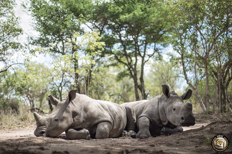 Gertjie and Matimba.jpg