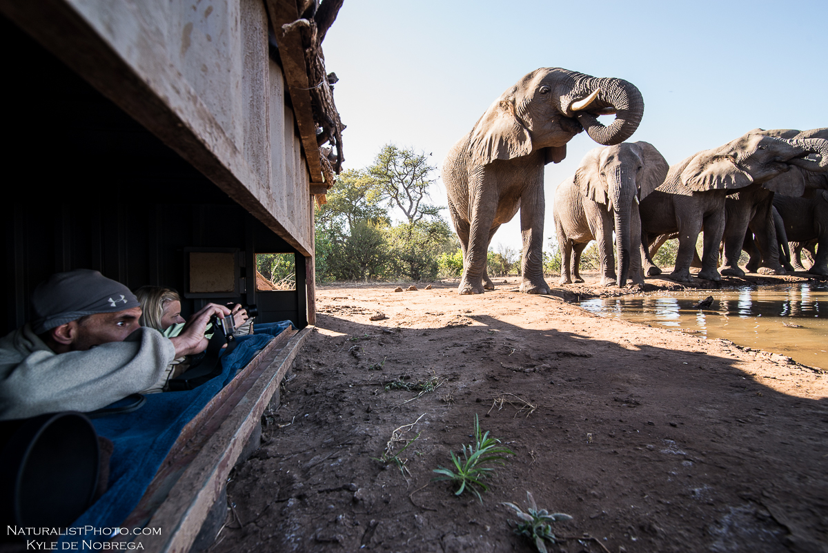 Kyle de Nobrega (6 of 15).jpg