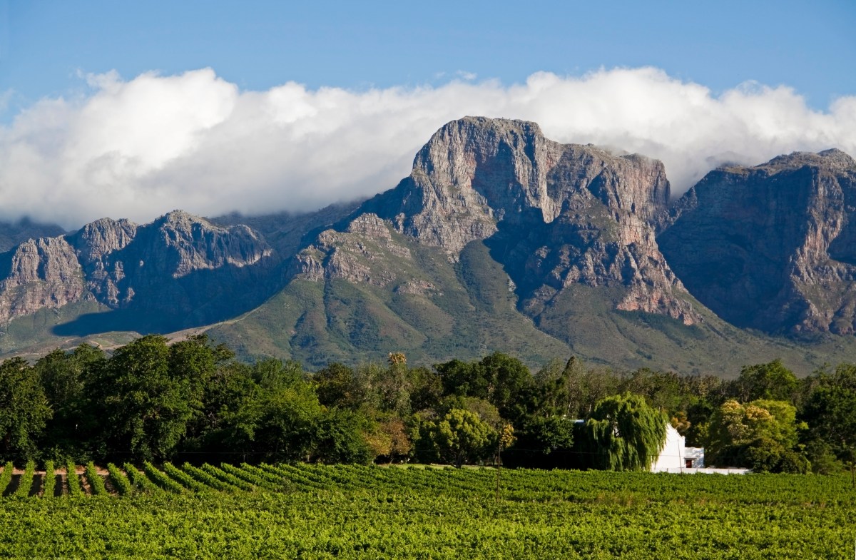 Cape Town Winelands-154918641.jpg