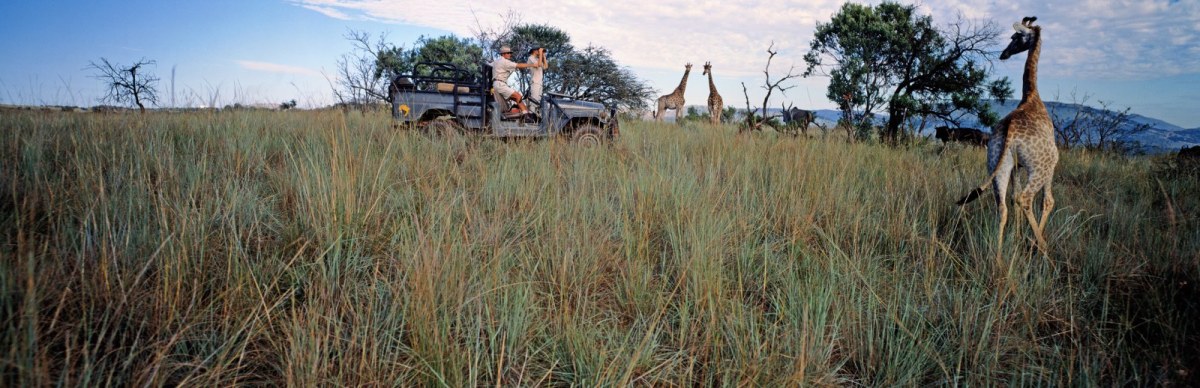 Game Drive-BB8711-001_1600x518.jpg