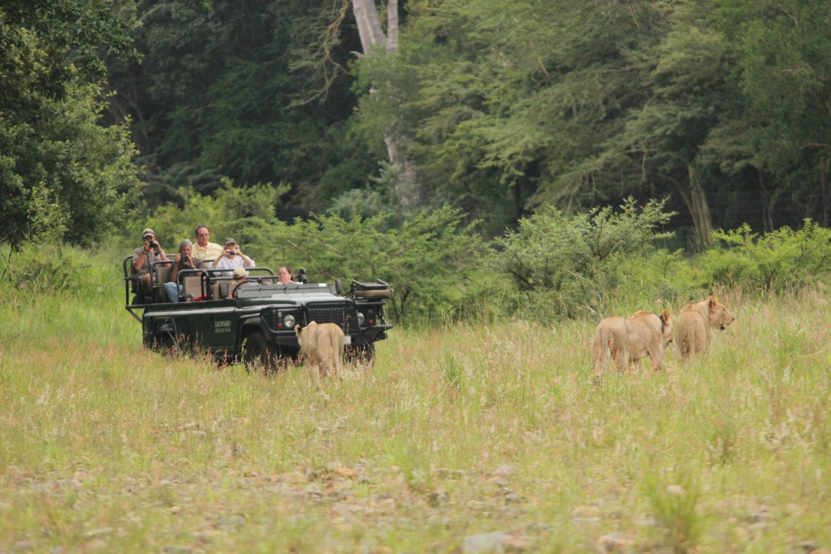 Game Drives 16-08-14 (8)