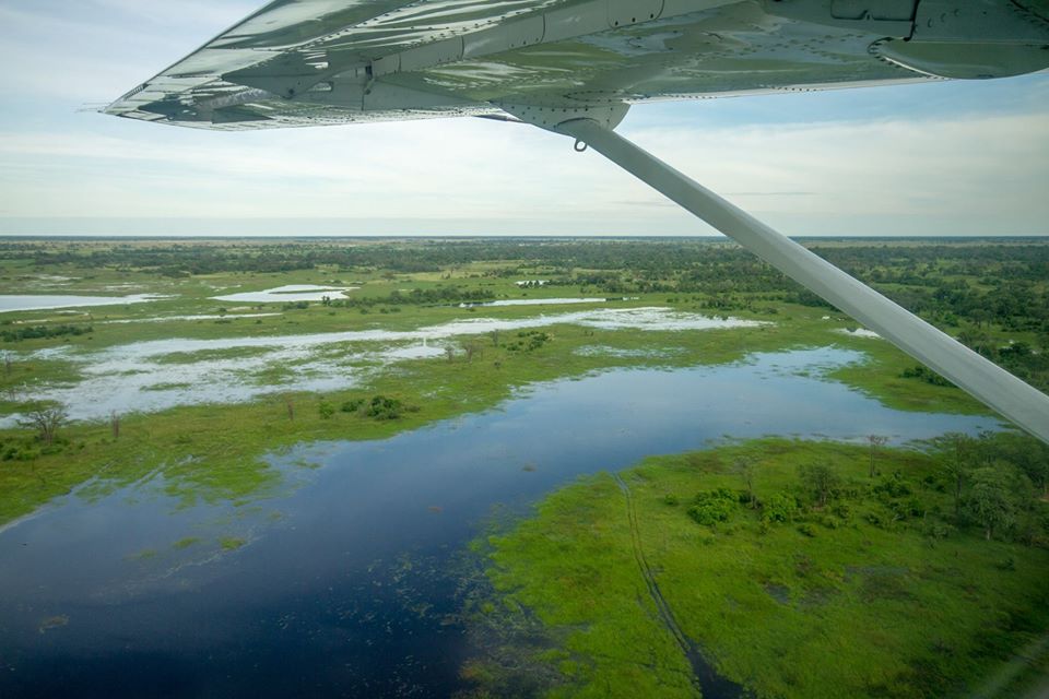 Desert &amp; Delta aerial view across Okavango Delta en route to Camp Moremi and Camp Xakanaxa