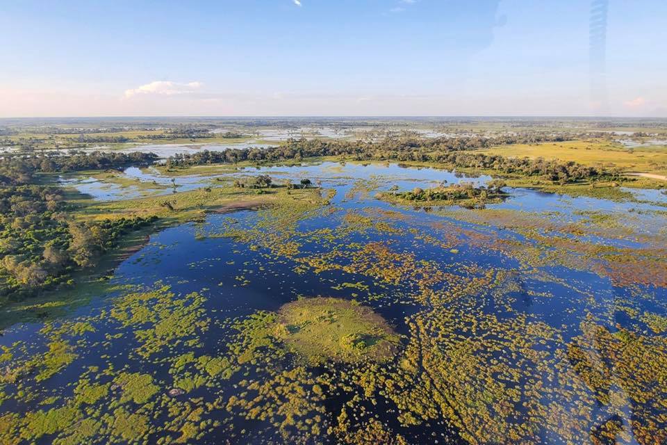 Okavango River 1