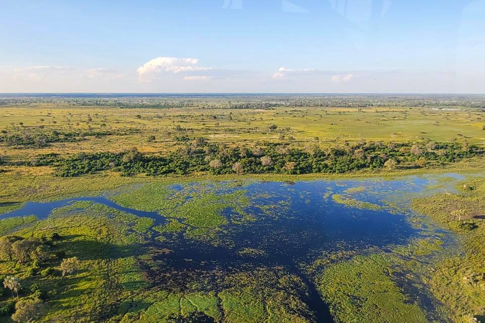 Okavango River 2
