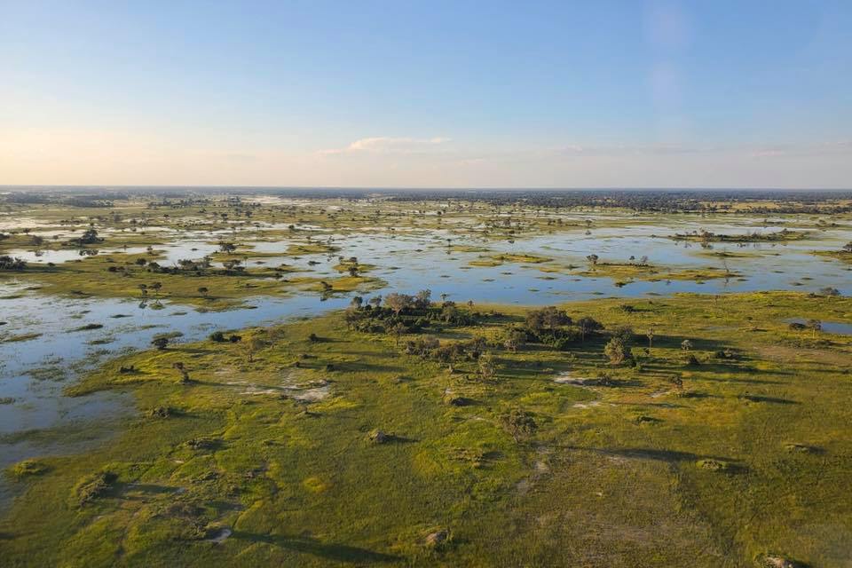 Okavango River 3