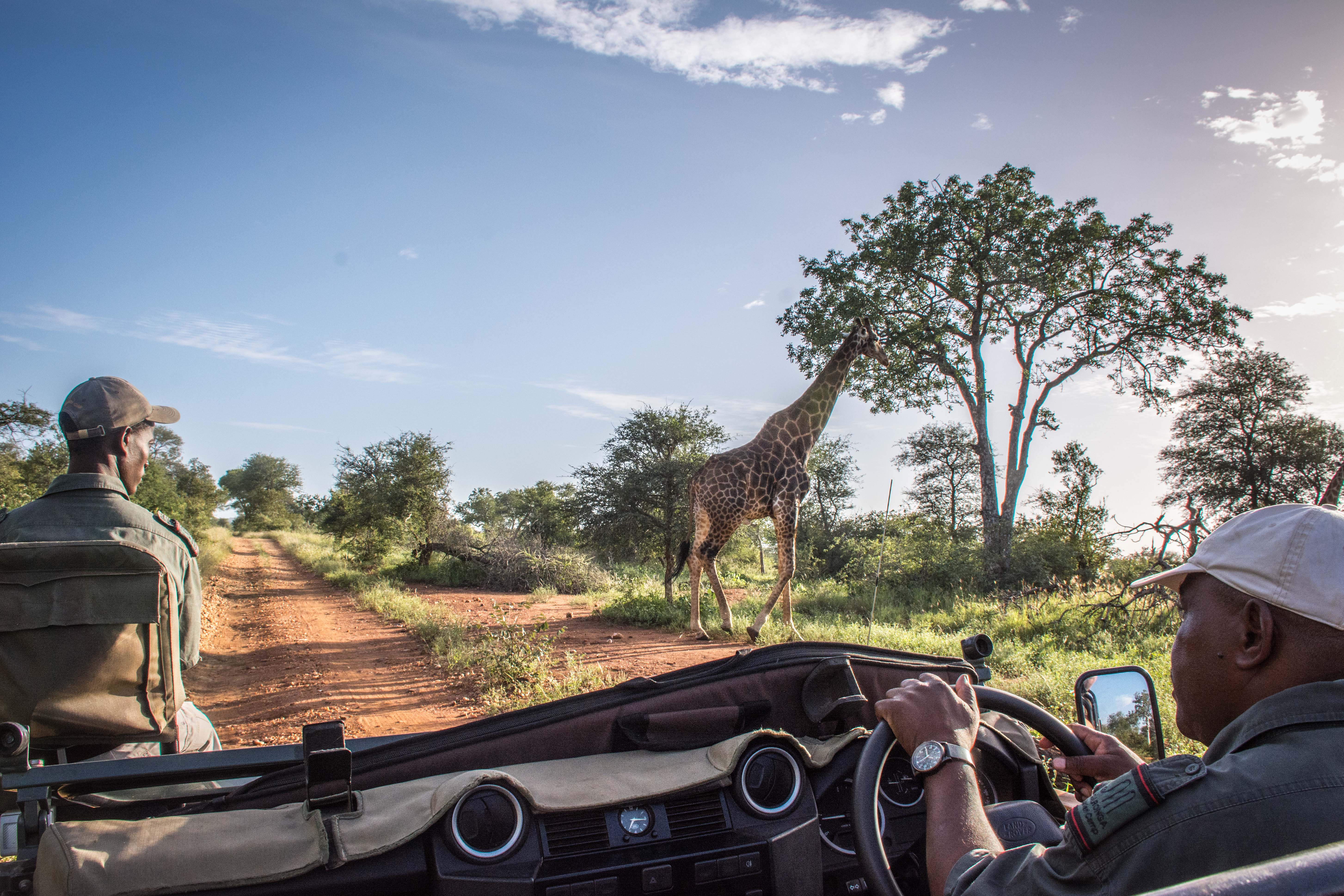 Garonga-ClaireBirtwhistle-7136