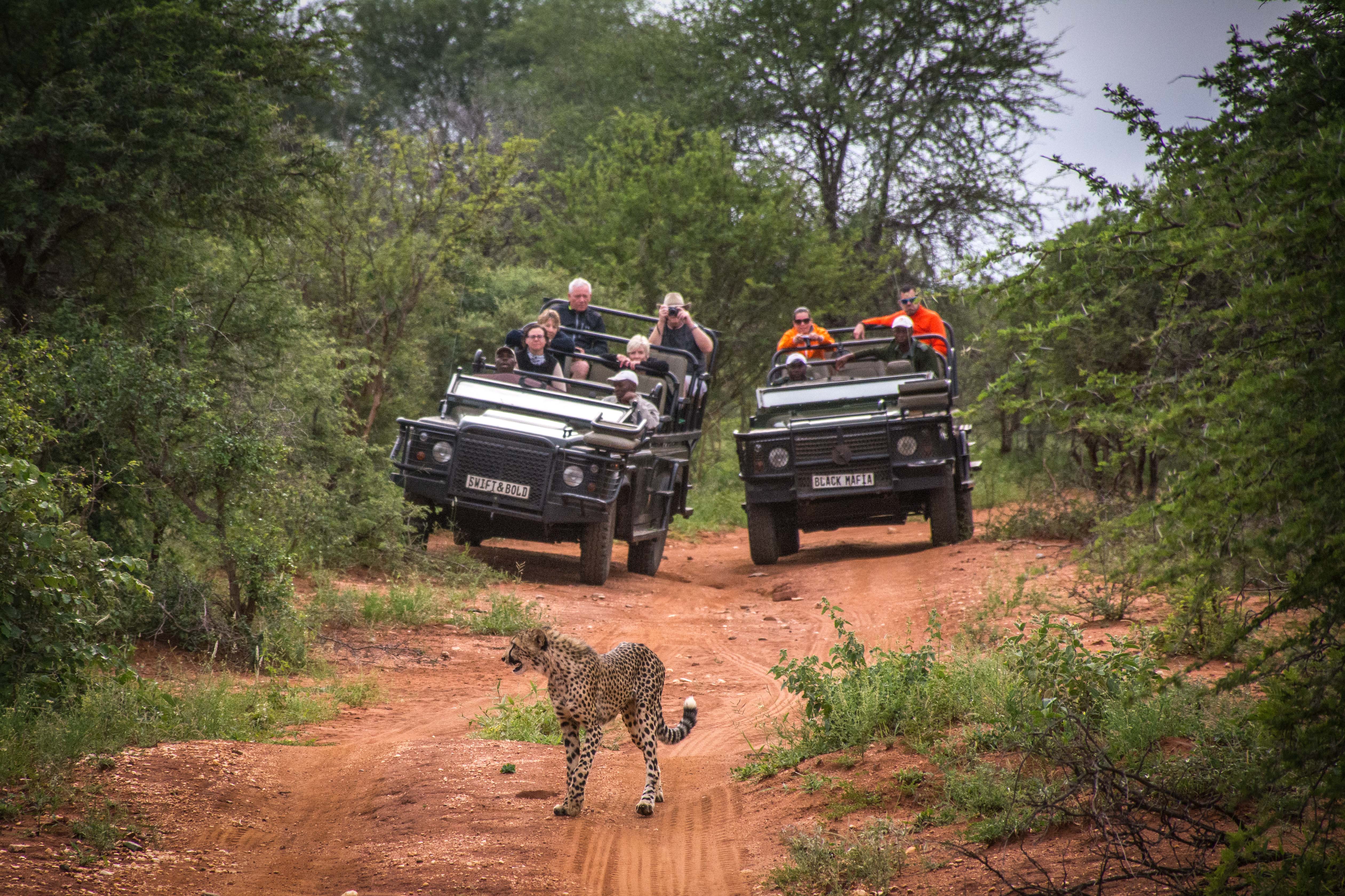 Garonga-ClaireBirtwhistle-7238