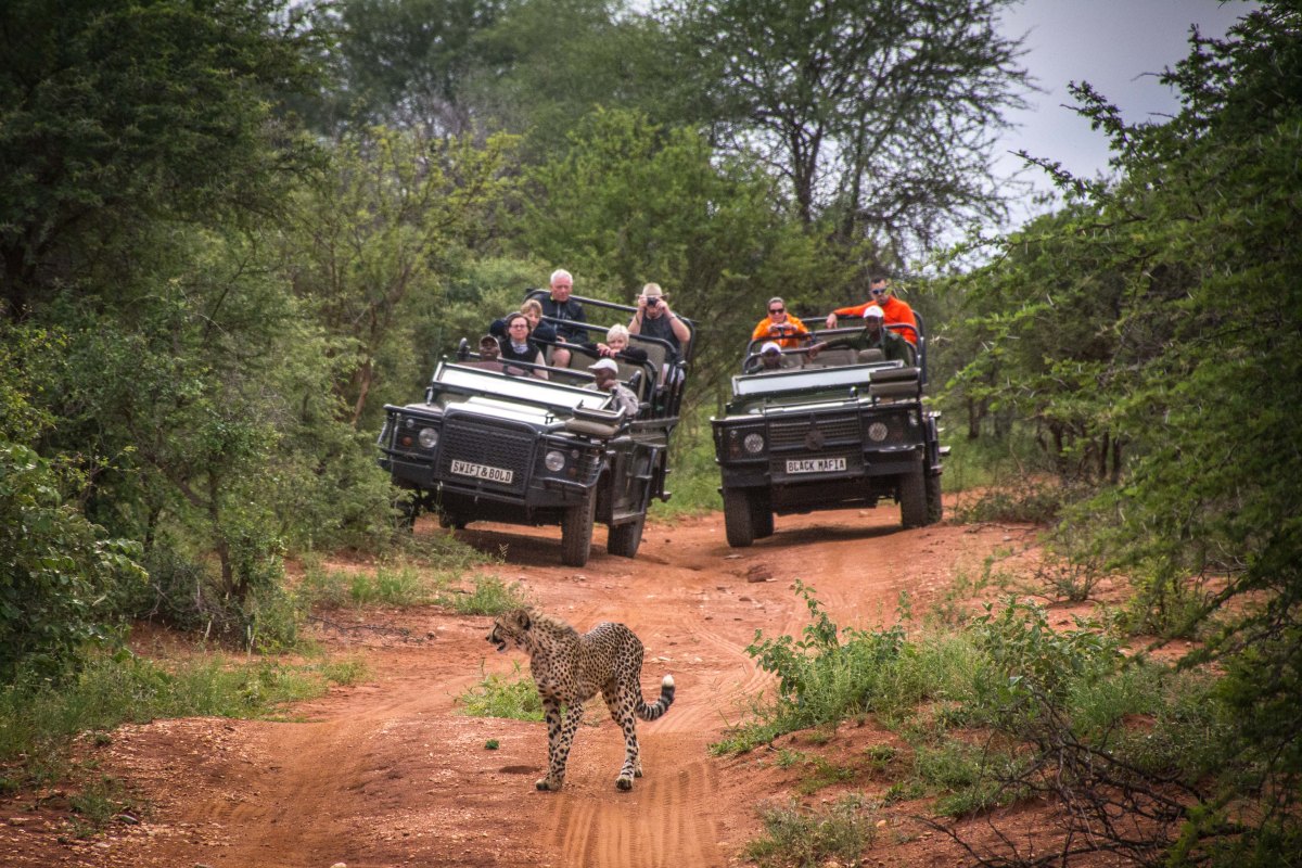 Garonga-ClaireBirtwhistle-7238