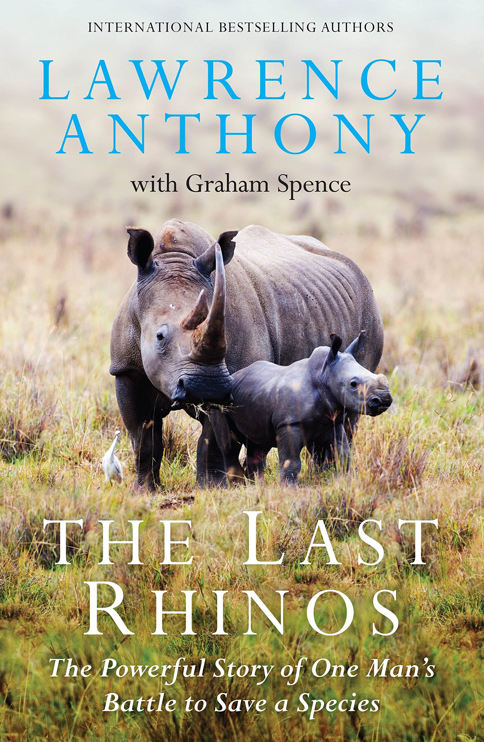 The Last Rhinos