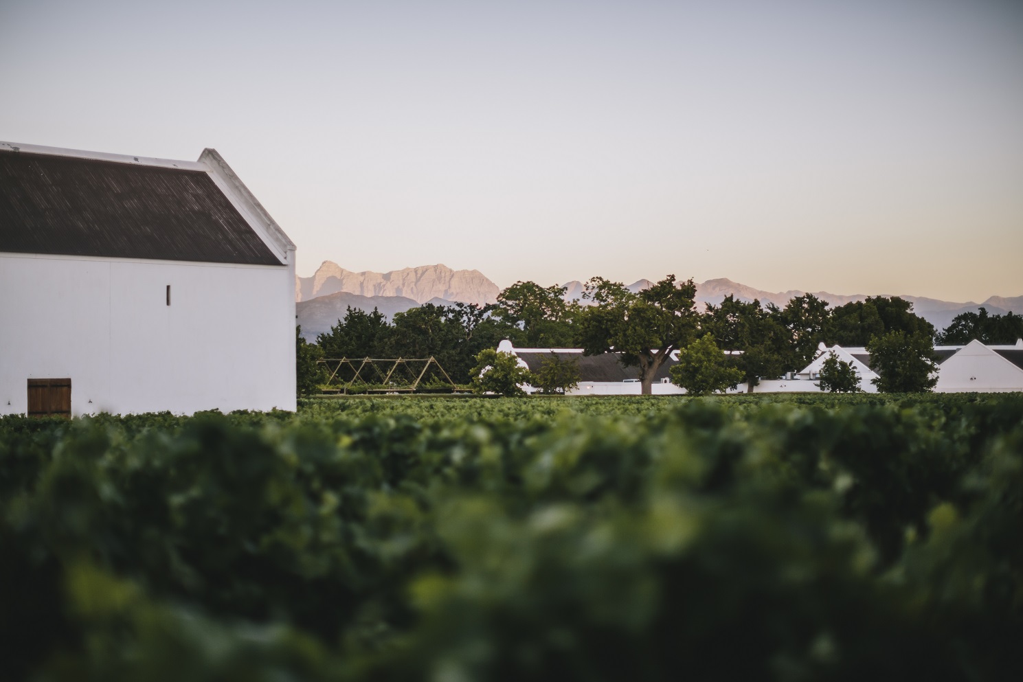 161119_Babylonstoren_219 resized