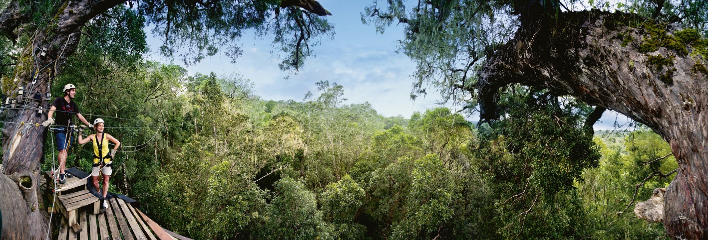 Canopy Tours ssimg_008 resized