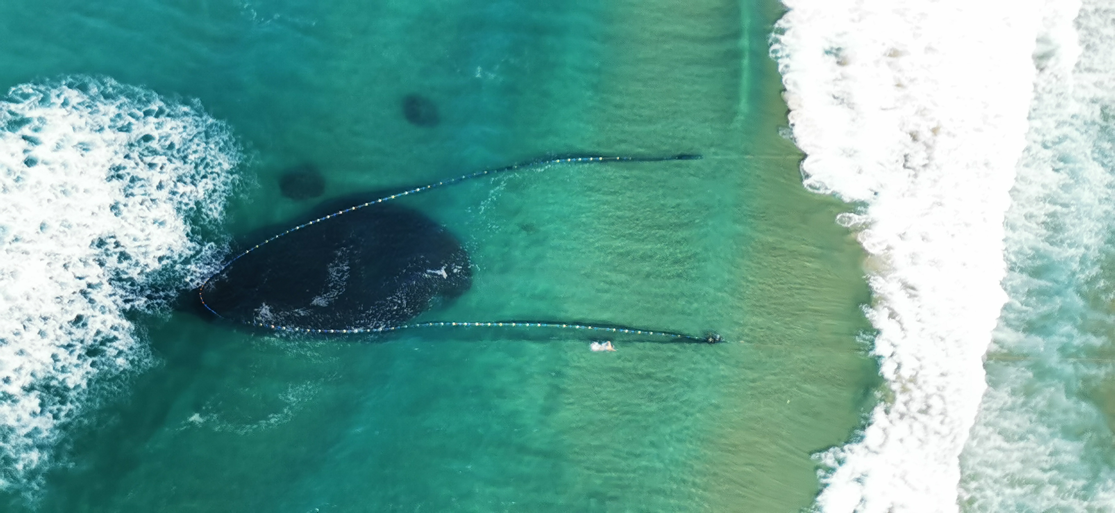 sardine-activity-increases-on-the-kzn-south-coast-as-winter-chill-sets-in-2