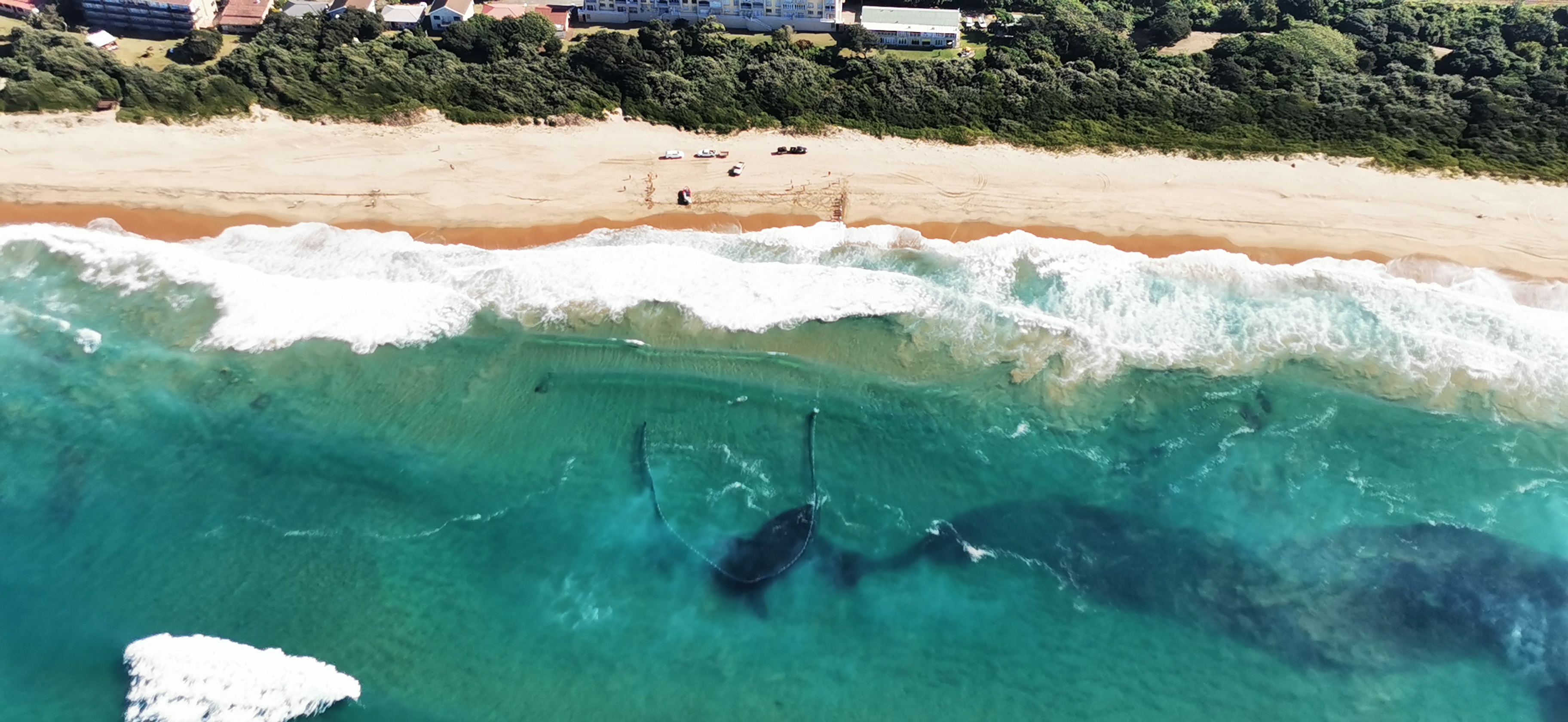 sardine-activity-increases-on-the-kzn-south-coast-as-winter-chill-sets-in-4
