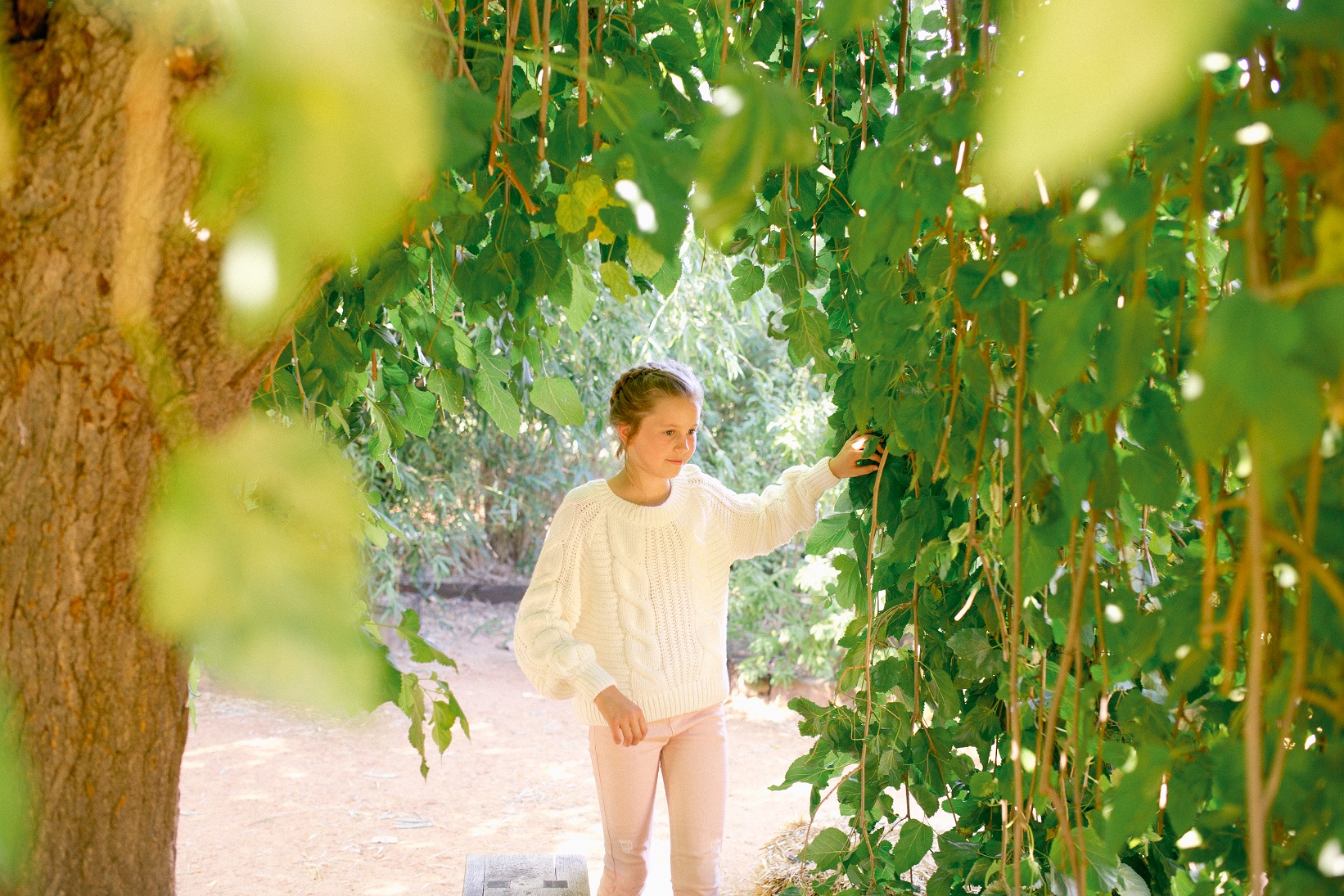 Scavenger hunt in the garden resized