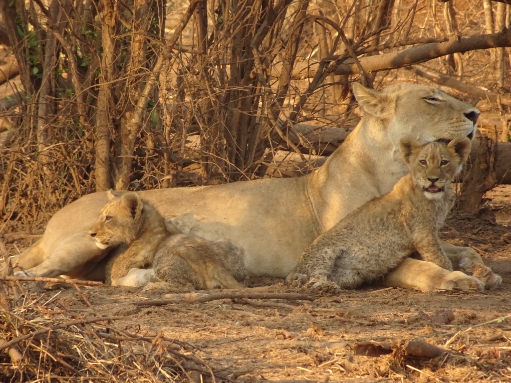 UNADJUSTEDNONRAW_thumb_173ad