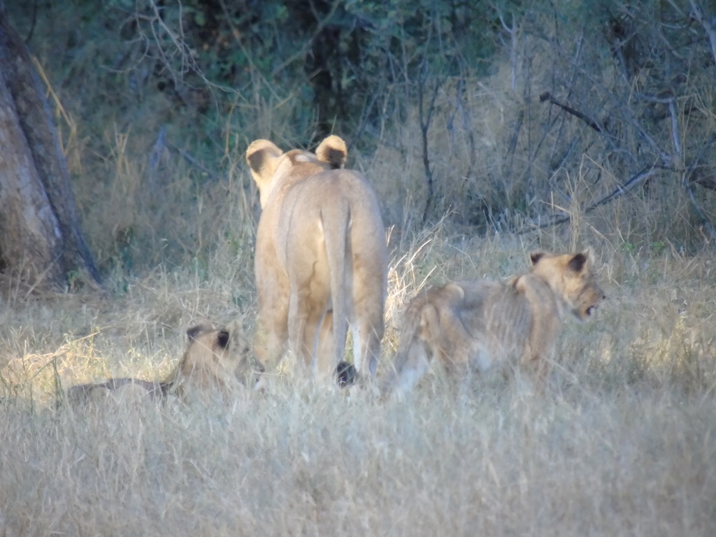 UNADJUSTEDNONRAW_thumb_17cab