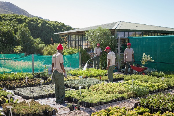 Grootbos foundation green futures