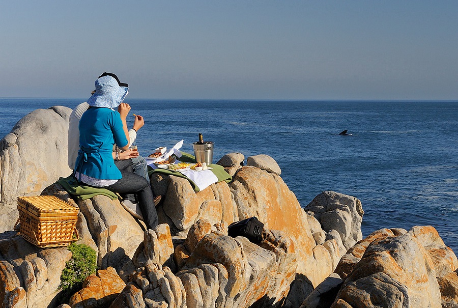 Grootbos land based whale watching